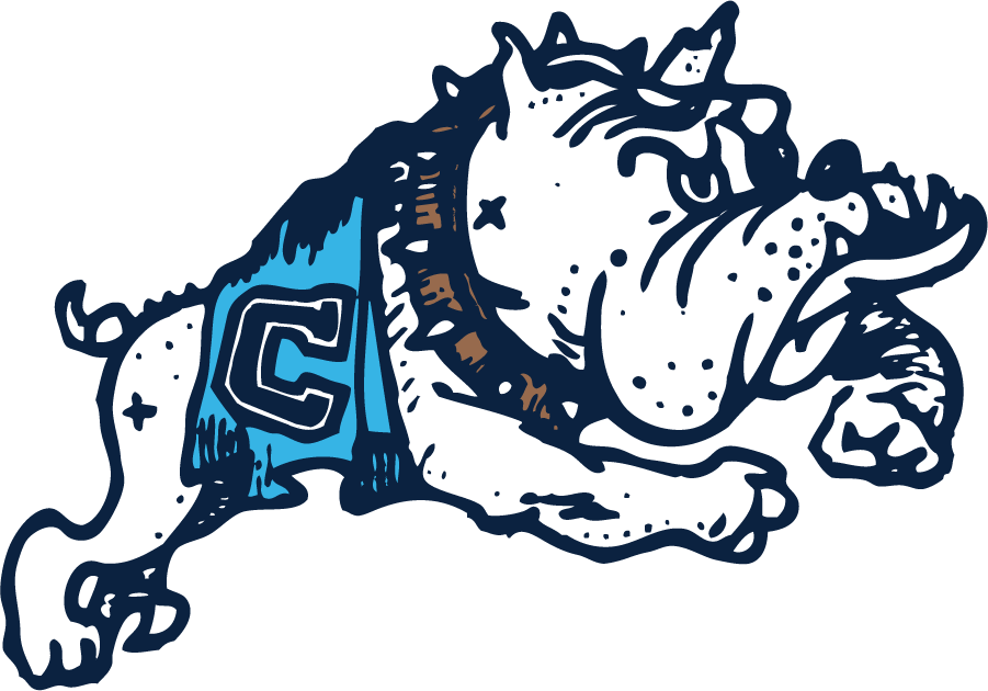 The Citadel Bulldogs 1969-1987 Secondary Logo t shirts iron on transfers